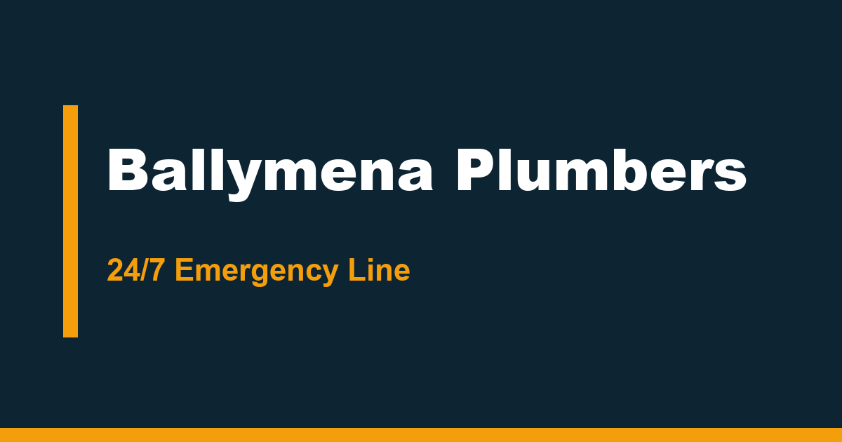 Ballymena plumber website